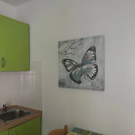 Lavanda * Pakoštane